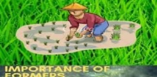 Illustration of a farmer planting seedlings above a photo of a farmer carrying plants. Text reads IMPORTANCE OF "FARMERS"