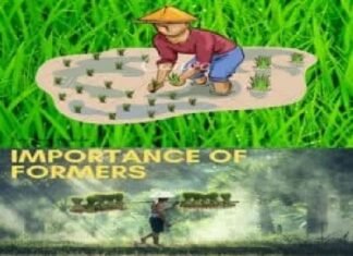 Illustration of a farmer planting seedlings above a photo of a farmer carrying plants. Text reads IMPORTANCE OF "FARMERS"