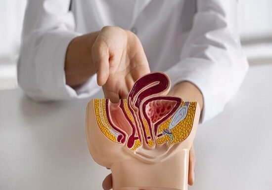 A person holds a medical model of the human digestive system, highlighting the intestines with the text "Bowel Cancer Diagnosis" clearly visible.