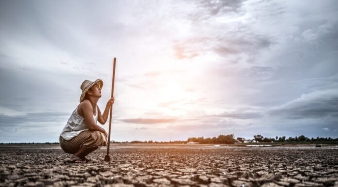 A farmer crouches on cracked, dry ground under a cloudy sky, holding a long stick. Dressed in light clothing and a hat, searching for answers in the parched earth and committing suicide.