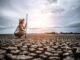 A farmer crouches on cracked, dry ground under a cloudy sky, holding a long stick. Dressed in light clothing and a hat, searching for answers in the parched earth and committing suicide.